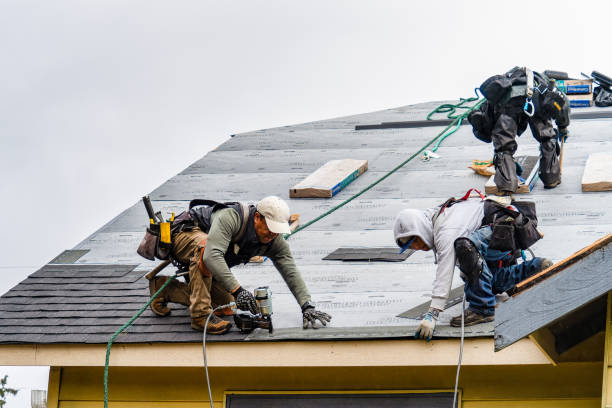Professional Storm Damage Roof Repair technician working in Harrisville, NH
